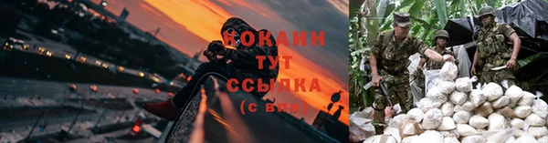 СК Верея