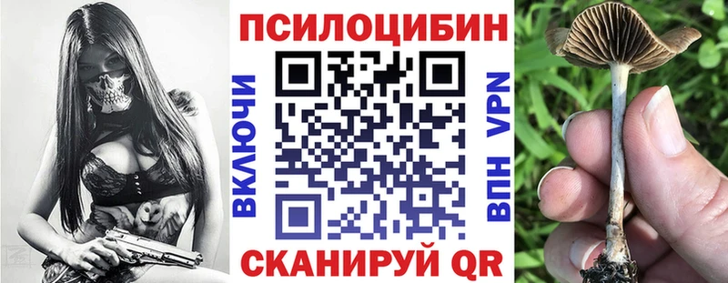 Псилоцибиновые грибы Psilocybine cubensis  Калач 